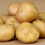 характеристика сорта картошки удача