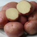 картошка романо фото