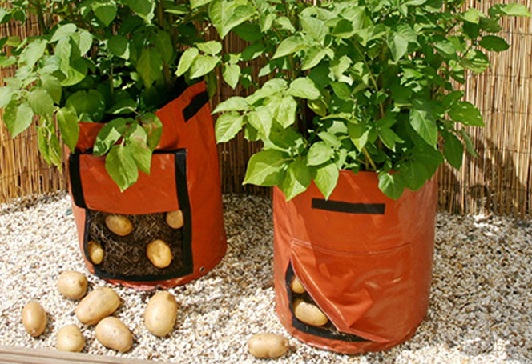 фото заводских мешков для выращивания картошки