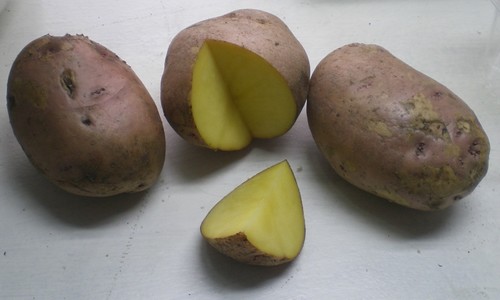 картошка свитанок киевский фото