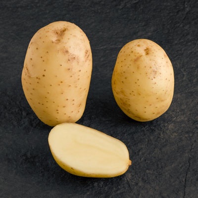 сорт картофеля мелодия фото