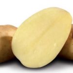 картошка Рамос фото