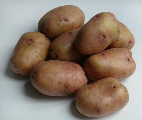 сорт картофеля ажур фото