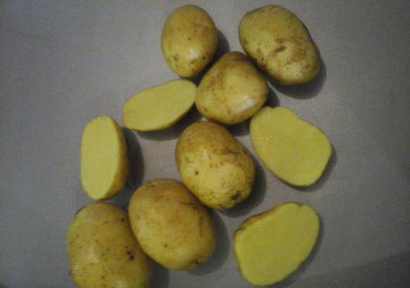 сорт картофеля арника фото