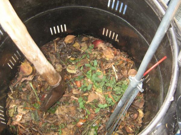 фото картофельных очистков в компосте