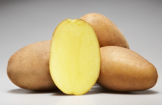 сорт картофеля лабадия фото