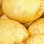фото сапрыкинской картошки