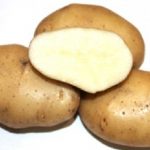 картошка фрителла фото