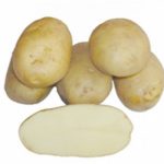картошка азарт фото