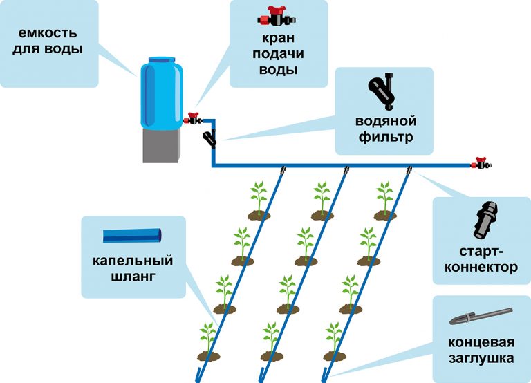 Схема защиты картофеля сингента