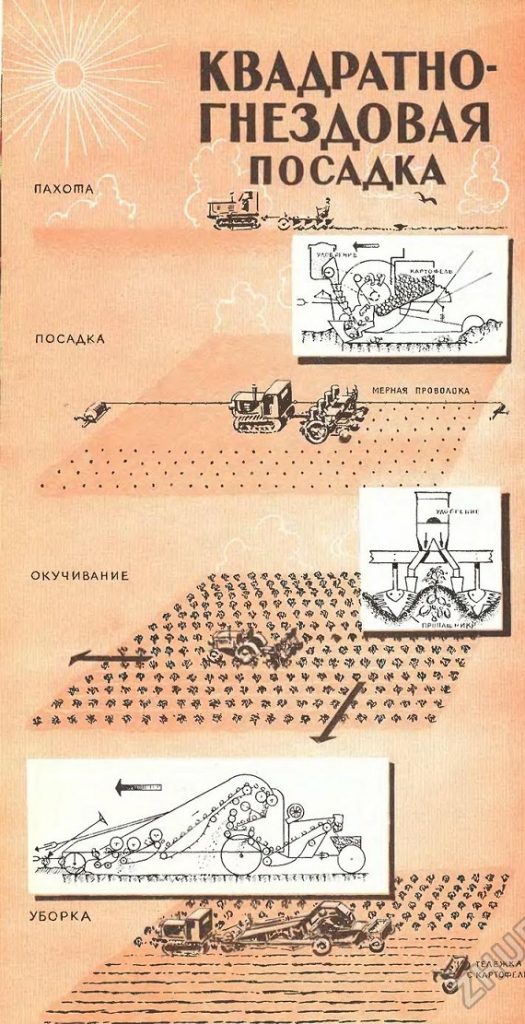 Схема посадки картофеля в открытом