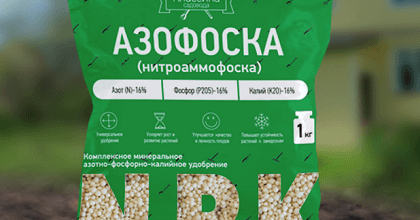 фото азофоски для картошки