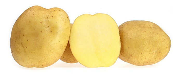 фото сорта картофеля Гермес