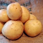 фото картошки банба