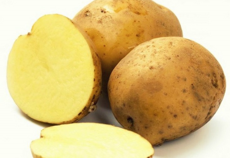 фото сорта картофеля брянская новинка