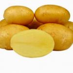 фото дачной картошки
