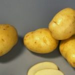 фото картошки зольская