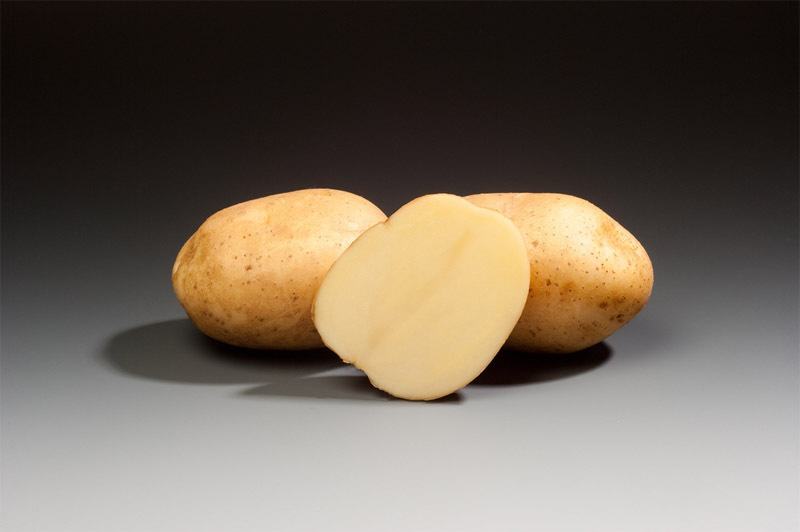 фото сорта картофеля Криспер