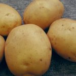 фото картошки лидер
