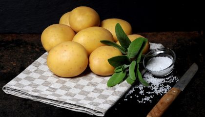 фото картошки Мадейра