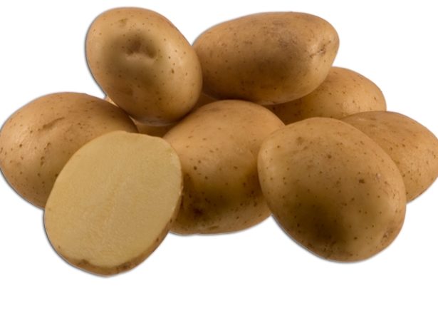 фото сорта картофеля маламур