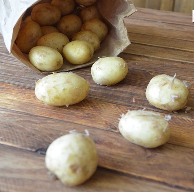 фото кудряшек на молодом картофеле