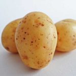 фото картошки пензенская скороспелка