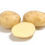 фото приобской картошки