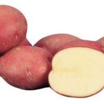 фото самарской картошки
